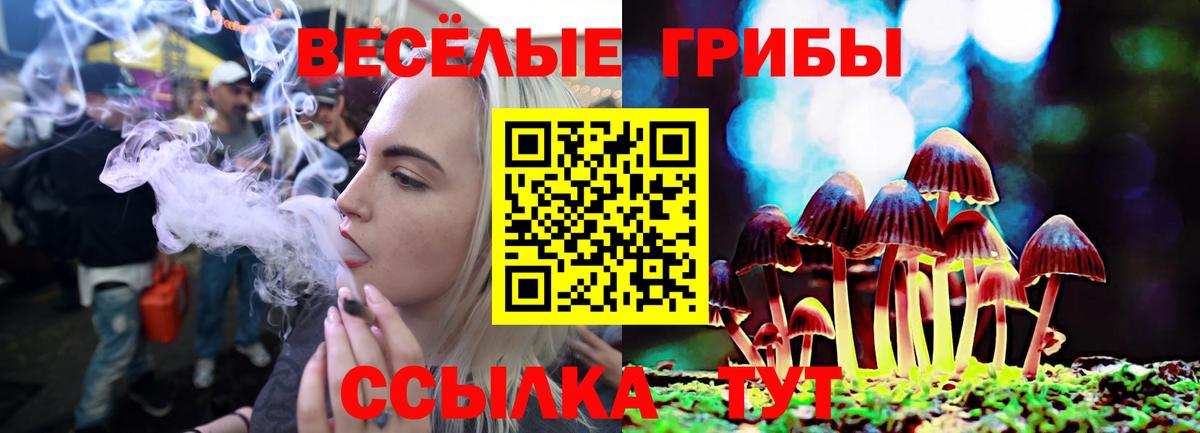 Галлюциногенные грибы мицелий Печора